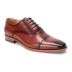 Birch Pointed Toe Oxfords // Chestnut (US: 10)
