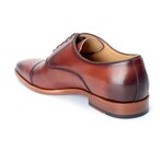 Birch Pointed Toe Oxfords // Chestnut (US: 10)