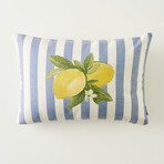 Lemoncello Cushion Cover