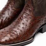 Alabama Ostrich Quill Western Boots // Kango Tabac (10)