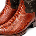 Denver Ostrich Leg Western Boots // Rustic Cognac (10)