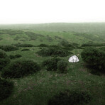 BACKDOOR, Classic // Silver