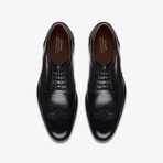 CraftArloLimit Leather Brogue Derbys // Black (US: 8.5)