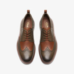 Chantry Wing Leather Oxfords // Dark + Olive (US: 10)