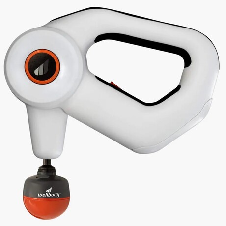 WellBody Lite Massager