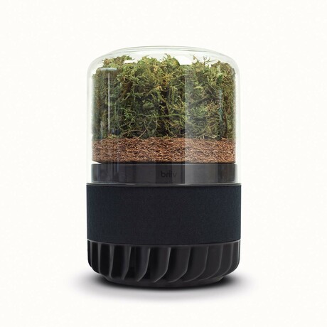 758a6eb01d5c3e4fc2cfec3f511789f7 medium