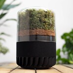 Briiv 2 Air Purifier