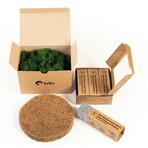 Briiv 2 Air Purifier