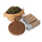 Briiv 2 Air Purifier