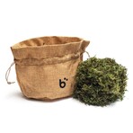 Briiv 2 Air Purifier