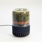 Briiv 2 Air Purifier