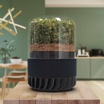 Briiv 2 Air Purifier