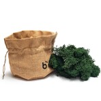 Briiv 2 Air Purifier