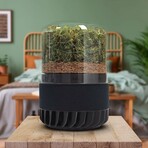Briiv 2 Air Purifier