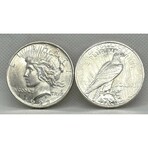 1923 P Peace Silver Dollar
