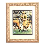 Roger Staubach // Navy Midshipman // Signed Jersey & Custom Framed Photo