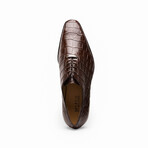 Bono // Alligator Skin Leather Oxford // Brown (8)