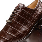 Bono // Alligator Skin Leather Oxford // Brown (8)