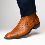 Giorgio // Ostrich Skin Leather Chelsea Boot // Brandy (8)