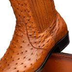 Giorgio // Ostrich Skin Leather Chelsea Boot // Brandy (8)