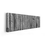 Aspen Trees in Black & White, Alberta, Canada by Panoramic Images (12"H x 36"W x 1.5"D)