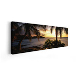 Kohala Coast, Hawaii, USA by Panoramic Images (12"H x 36"W x 1.5"D)