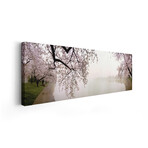 Cherry blossoms at the lakesideWashington DC, USA by Panoramic Images (12"H x 36"W x 1.5"D)