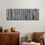 Aspen Trees in Black & White, Alberta, Canada by Panoramic Images (12"H x 36"W x 1.5"D)