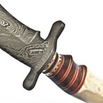 The Layerx // White Camel Bone // Clip Point