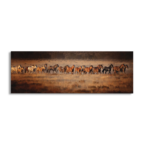 Horse Run VII by PH Burchett (12"H x 36"W x 1.5"D)