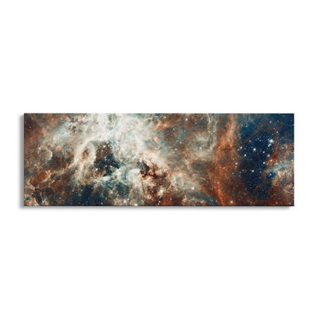 Stardust Flare by NASA (12"H x 36"W x 1.5"D)