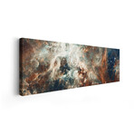 Stardust Flare by NASA (12"H x 36"W x 1.5"D)