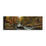 Fall Trees Kitchen Creek PA by Panoramic Images (12"H x 36"W x 1.5"D)