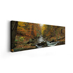 Fall Trees Kitchen Creek PA by Panoramic Images (12"H x 36"W x 1.5"D)