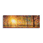 Extra Wide Panorama Of Gorgeous Forest In Autumn by Valery Rybakow (12"H x 36"W x 1.5"D)