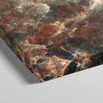 Stardust Flare by NASA (12"H x 36"W x 1.5"D)