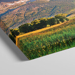 Grand Teton Panorama, Grand Teton National Park, Wyoming by Susanne Kremer (12"H x 36"W x 1.5"D)