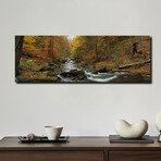 Fall Trees Kitchen Creek PA by Panoramic Images (12"H x 36"W x 1.5"D)