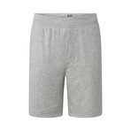 Shorts // Gray (S/M)
