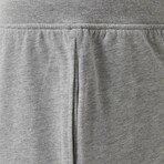 Shorts // Gray (S/M)