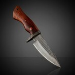 Damascus Skinner Knife // Rosewood Handle