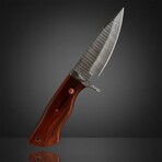 Damascus Skinner Knife // Rosewood Handle