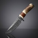 Frontier Stag Hunter // Damascus Fixed Blade Knife