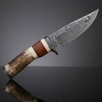 Frontier Stag Hunter // Damascus Fixed Blade Knife