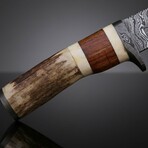 Frontier Stag Hunter // Damascus Fixed Blade Knife
