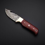 Crimson Hunter // Damascus Gut Hook Knife