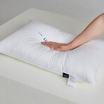 Pure Cotton Luxury Hotel Pillow Duo (Single-piped)