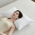 Pure Cotton Luxury Hotel Pillow Duo (Single-piped)