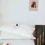 Pure Cotton 2 Piece Pillowcase Set  (Avocado)