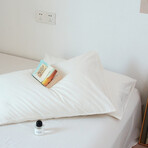 Pure Cotton 2 Piece Pillowcase Set  (Avocado)